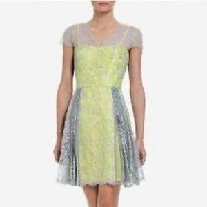 BCBG Lace Cocktail Dress